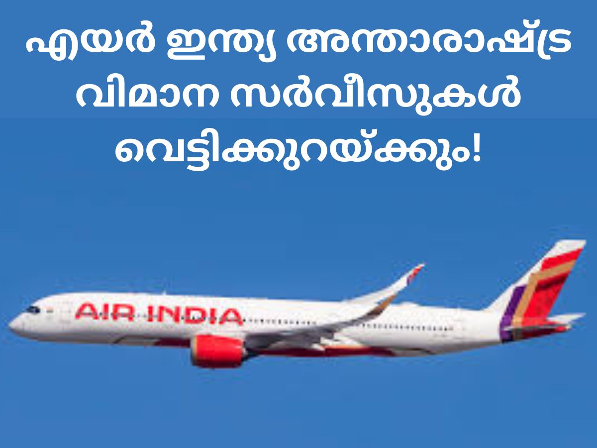 WhatsApp Image 2026-05-02 at 11.41.15 AM